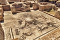 Cisiarii Roman empire thermal bath - frigidarium - landscape in Ostia Antica