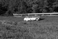 Cisitalia 202 Smm Nuvolari - 1947 in coppa nuvolari gara di regolarita auto d` epoca