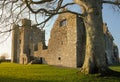 Bective Abbey. Trim. county Meath. Ireland Royalty Free Stock Photo