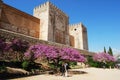 Cistern Court, Alhambra Palace.