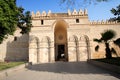 Citadel of Cairo is located in Egypt, Africa.