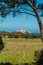 Citadel of Calvi in Balagne region of Corsica