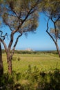 Citadel of Calvi in Balagne region of Corsica