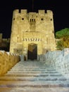 Citadel by night-Alleppo,Syria Royalty Free Stock Photo