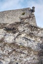 Citadelle of Besancon