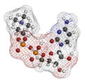 Citicoline CDP-choline molecule. 3D rendering. Atoms are represented as spheres with conventional color coding: hydrogen white.