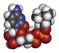 Citicoline CDP-choline molecule. 3D rendering. Atoms are represented as spheres with conventional color coding: hydrogen white.