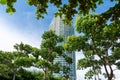 Cities in nature. Tall building with sky background and tree foreground. Architect and nature concept