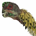 Citipati Dinosaur Head Royalty Free Stock Photo