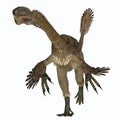 Citipati Female Dinosaur on White Royalty Free Stock Photo