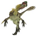 Citipati Male Dinosaur Royalty Free Stock Photo
