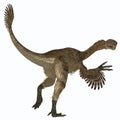 Citipati Female Dinosaur Tail Royalty Free Stock Photo