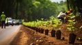 Citizen engaging in urban tree planting along roadways Royalty Free Stock Photo