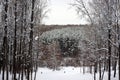 Citizens ski down the mountain in good winter weather