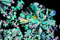 Citric acid crystals in polarized light Royalty Free Stock Photo