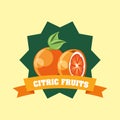 Citric fruits design