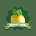 Citric fruits design