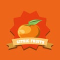 Citric fruits design