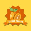 Citric fruits design