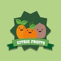 Citric fruits design