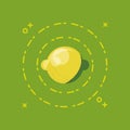 Citric fruits design