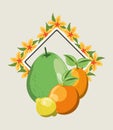 Citric fruits design