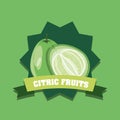 Citric fruits design