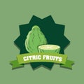 Citric fruits design