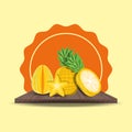 Citric fruits design Royalty Free Stock Photo