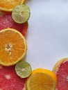 citric fruits slices on background in white color