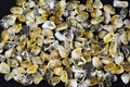Citrine yellow gem geode crystals geological mineral as nice background close up