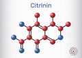Citrinin molecule. It is antibiotic and mycotoxin from Penicillium citrinum. Molecule model. Sheet of paper in a cage Royalty Free Stock Photo