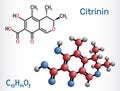 Citrinin molecule. It is antibiotic and mycotoxin from Penicillium citrinum. Structural chemical formula and molecule model Royalty Free Stock Photo