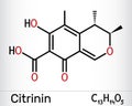 Citrinin molecule. It is antibiotic and mycotoxin from Penicillium citrinum. Skeletal chemical formula Royalty Free Stock Photo