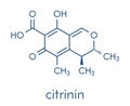Citrinin mycotoxin molecule. Skeletal formula. Royalty Free Stock Photo