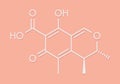 Citrinin mycotoxin molecule. Skeletal formula. Royalty Free Stock Photo