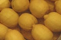 Citron citrus fruit food Royalty Free Stock Photo