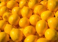 Citrons Royalty Free Stock Photo