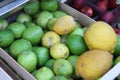 Citrons and lemons Royalty Free Stock Photo