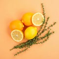 Citrons and Thyme: A Peach-Toned Refreshing Display Royalty Free Stock Photo