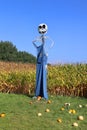 Citrouilleville (Pumpkinville) Funny scarecrow Royalty Free Stock Photo