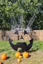 Citrouilleville (Pumpkinville) giant steel pumpkin