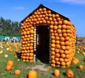 Citrouilleville (Pumpkinville) house