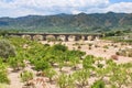 Citrous garden and bridge in dry riverbed