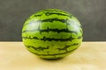 Citrullus lanatus Thunb. Mansf. - Watermelon. Royalty Free Stock Photo