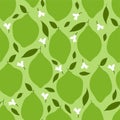 Lime. Colored Seamless Vector Patterns