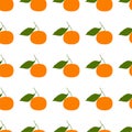Tangerine, Clementine. Colored Patterns