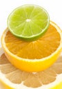 Citrus Royalty Free Stock Photo