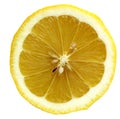 Citrus Royalty Free Stock Photo