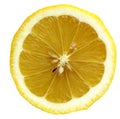 Citrus